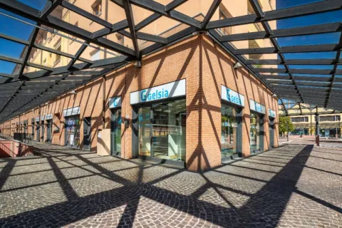 Gelsia Point Desio