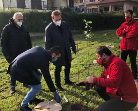 Forestazione Urbana