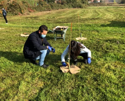 Forestazione Urbana