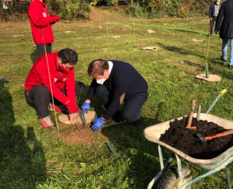 Forestazione Urbana