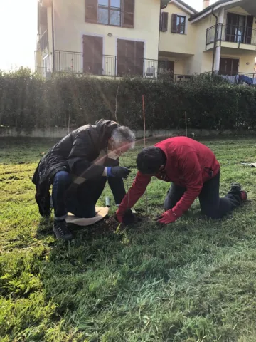 Forestazione Urbana