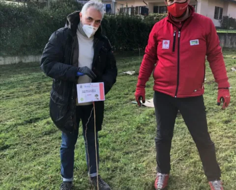 Forestazione Urbana